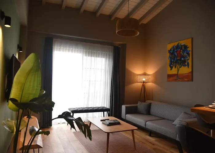 酒店 Soas 阿拉恰特