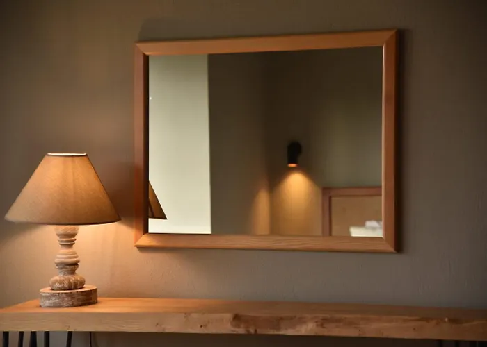 Soas 酒店 阿拉恰特