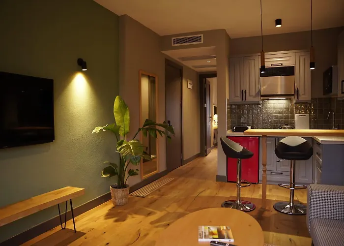 Soas 酒店 阿拉恰特