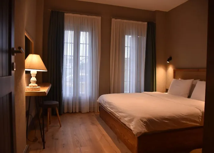 酒店 Soas 阿拉恰特