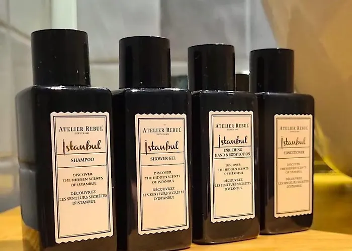 Soas 酒店 阿拉恰特