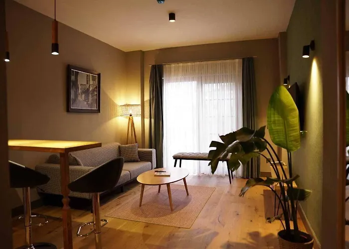 Soas 酒店 阿拉恰特